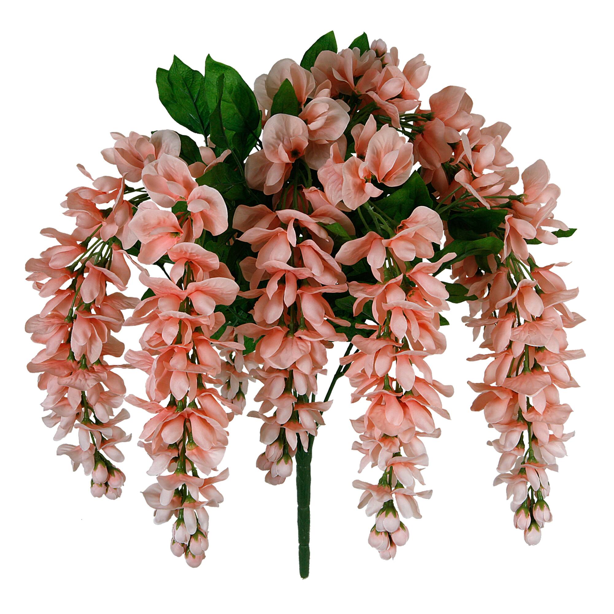 8 Pack: Coral Wisteria Bush by Ashland®